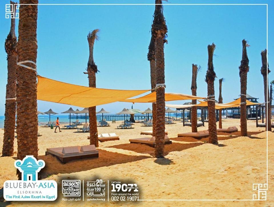 Mohamed Afifi Bluebay Asia - Families - Ground 2 Bed Rooms Ain Sukhna Eksteriør billede