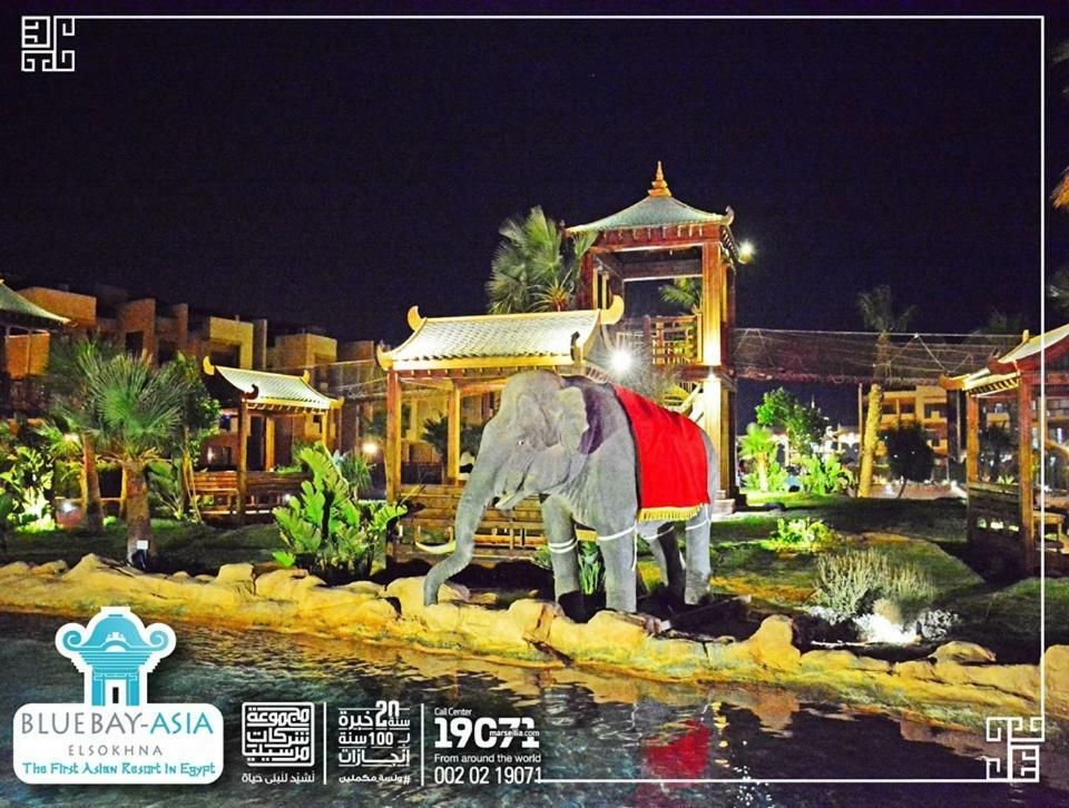 Mohamed Afifi Bluebay Asia - Families - Ground 2 Bed Rooms Ain Sukhna Eksteriør billede